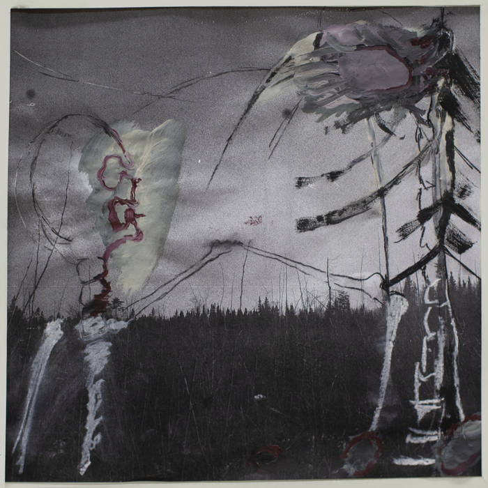 Albatros - Correct - new vinyl