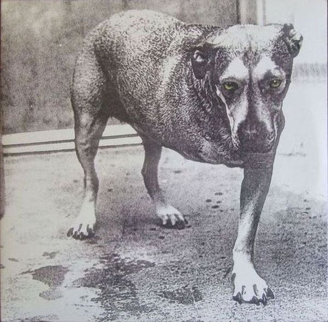 Alice In Chains – Alice In Chains - new vinyl