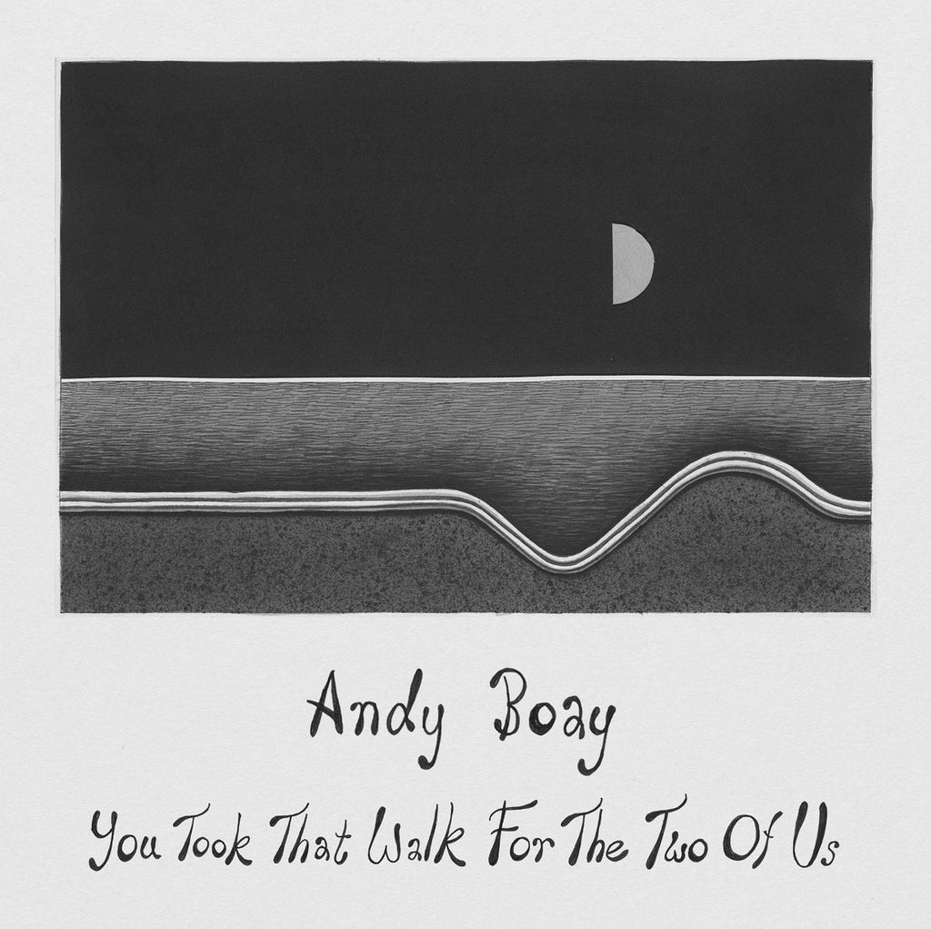 Andy Boay - You Took That Walk For The Two Of Us - new vinyl