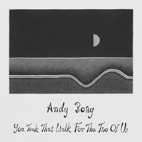 Andy Boay - You Took That Walk For The Two Of Us - new vinyl