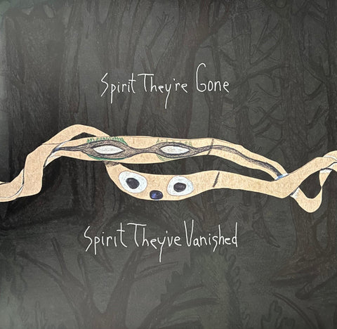 Animal Collective - Spirit They're Gone, Spirit They're Vanished (LTD Green Grass Vinyl)- new vinyl