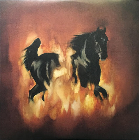 The Besnard Lakes ‎– The Besnard Lakes Are The Dark Horse - new vinyl