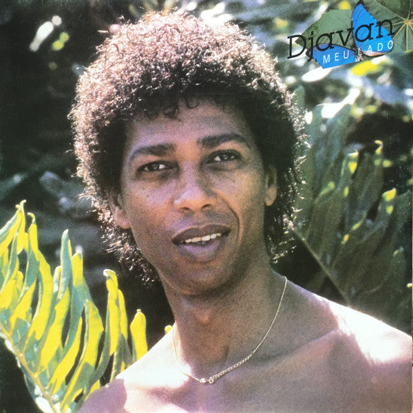 Djavan – Meu Lado (USA - 1986 - VG+) - USED vinyl