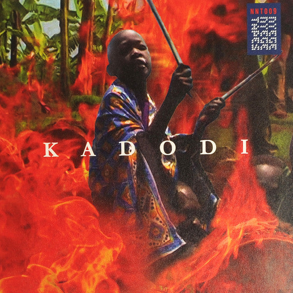 Various – Kadodi - new vinyl