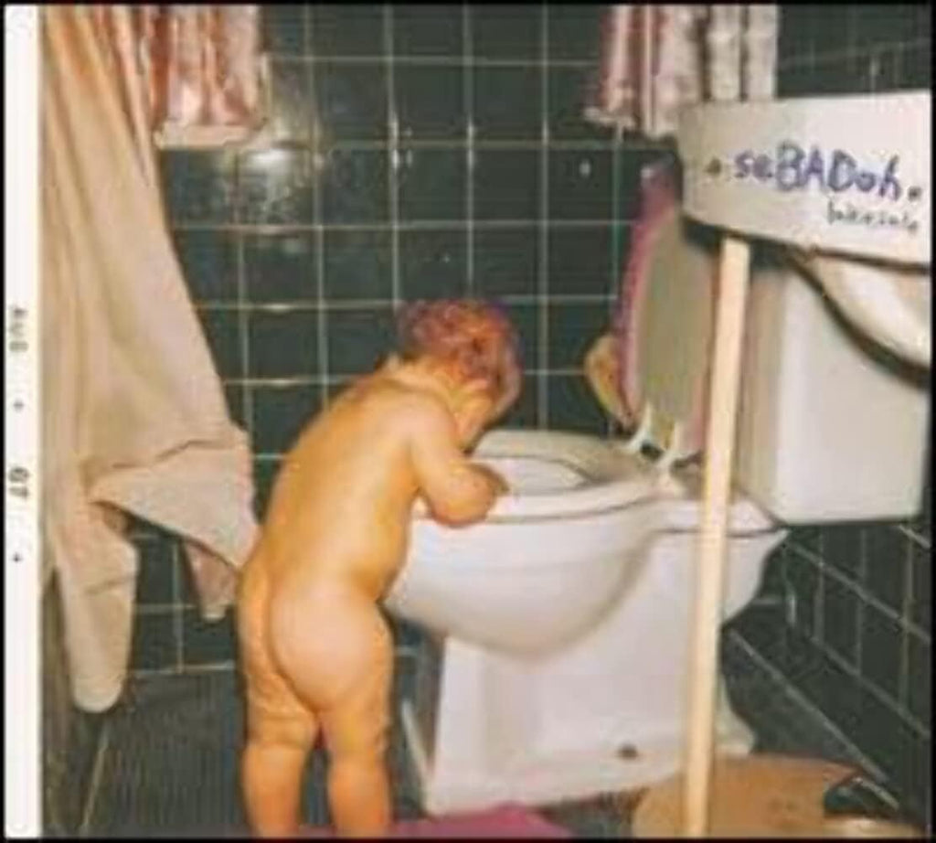 Sebadoh - Bakesale - new vinyl