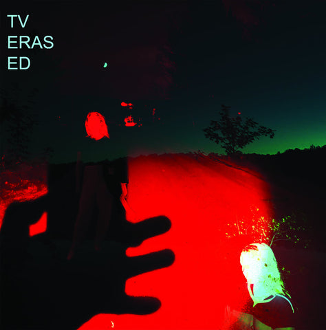 TV Erased - If you get, I want - new vinyl