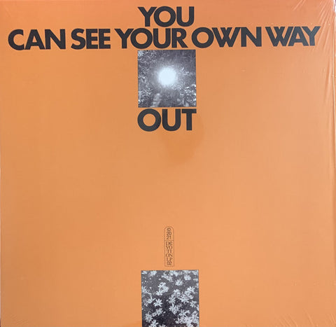 Ilyas Ahmed & Jefre Cantu-Ledesma ‎– You Can See Your Own Way Out - new vinyl