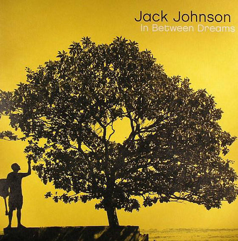 Jack Johnson ‎– In Between Dreams - new vinyl