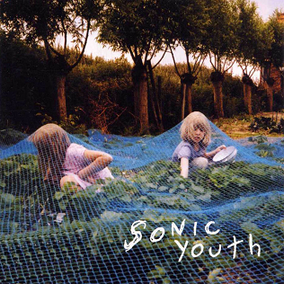 Sonic Youth - Murray Street - new vinyl