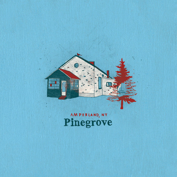 Pinegrove ‎– Amperland, NY - new vinyl