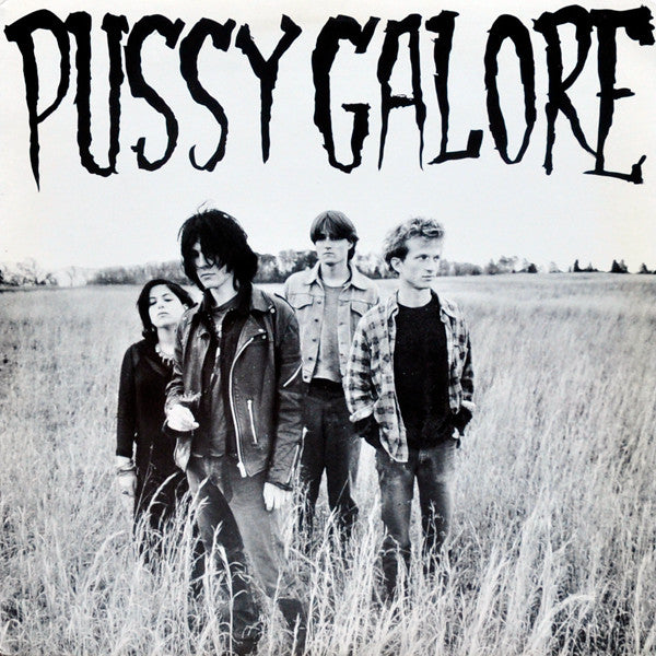 Pussy Galore - Groovy Hate Fuck (2013 - USA - Near Mint) - USED vinyl