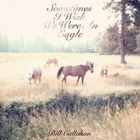 Bill Callahan ‎– Sometimes I Wish We Were An Eagle - new vinyl