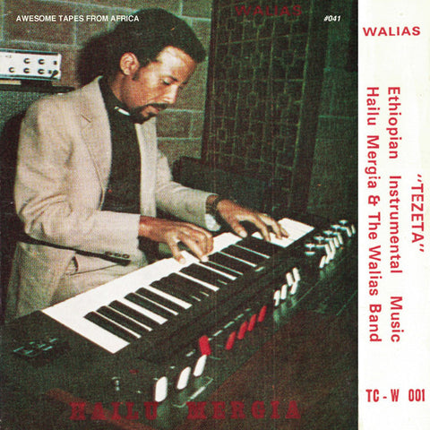 Hailu Mergia & The Walias Band ‎– Tezeta - new vinyl