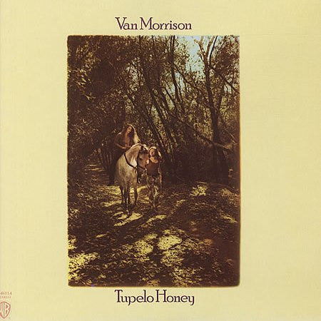 Van Morrison - Tupelo Honey - USED vinyl